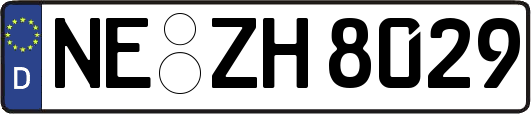 NE-ZH8029