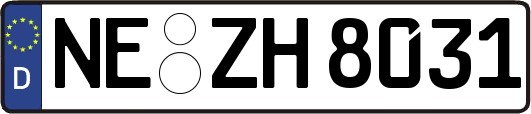 NE-ZH8031