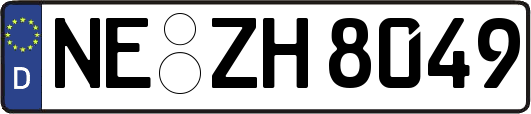 NE-ZH8049