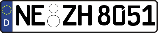 NE-ZH8051