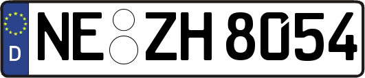 NE-ZH8054