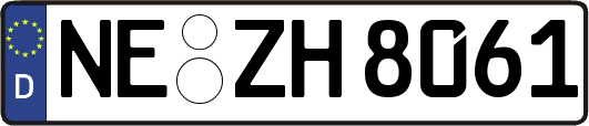 NE-ZH8061