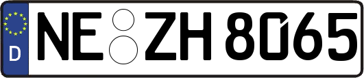 NE-ZH8065