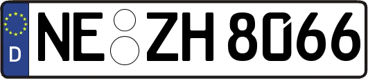 NE-ZH8066