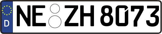 NE-ZH8073