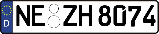 NE-ZH8074