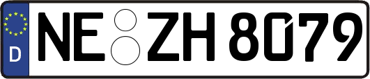 NE-ZH8079