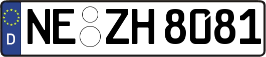 NE-ZH8081