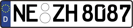 NE-ZH8087
