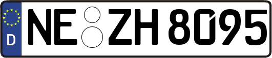 NE-ZH8095