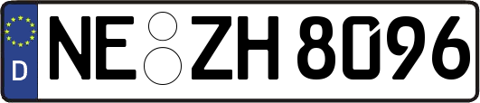 NE-ZH8096