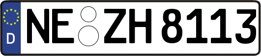 NE-ZH8113