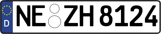 NE-ZH8124