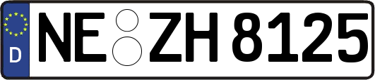 NE-ZH8125