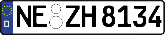 NE-ZH8134