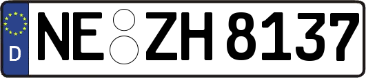 NE-ZH8137