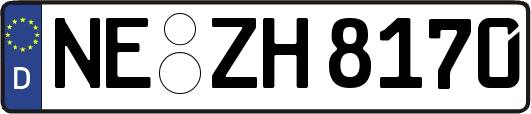 NE-ZH8170