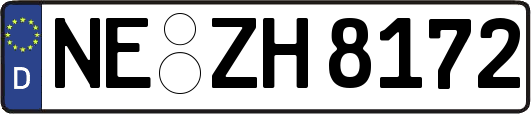 NE-ZH8172