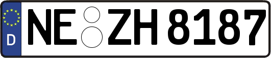 NE-ZH8187