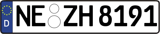 NE-ZH8191