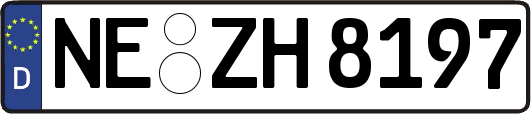 NE-ZH8197