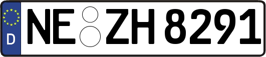 NE-ZH8291
