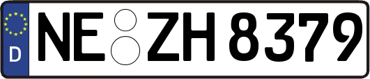 NE-ZH8379