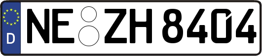 NE-ZH8404