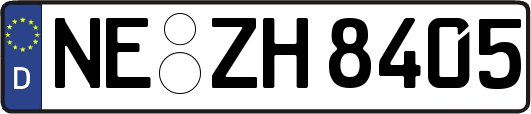 NE-ZH8405