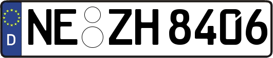 NE-ZH8406