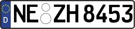 NE-ZH8453