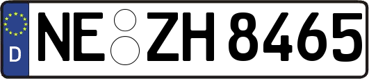 NE-ZH8465