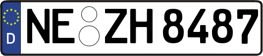 NE-ZH8487