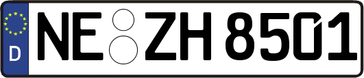 NE-ZH8501