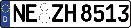NE-ZH8513