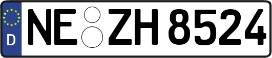 NE-ZH8524