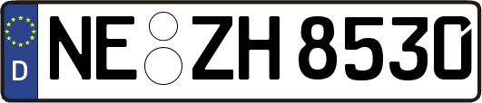 NE-ZH8530