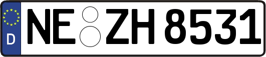 NE-ZH8531