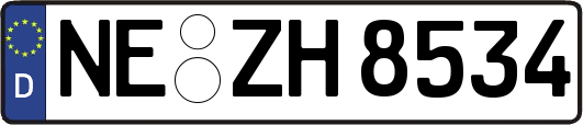 NE-ZH8534