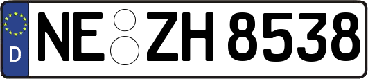 NE-ZH8538