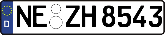 NE-ZH8543
