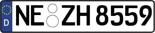 NE-ZH8559