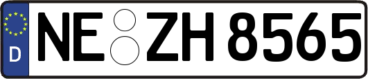 NE-ZH8565