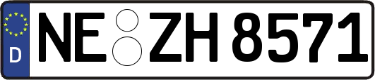 NE-ZH8571