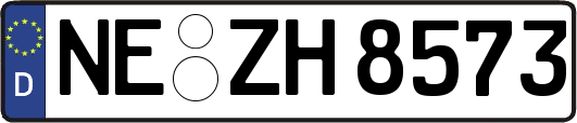NE-ZH8573