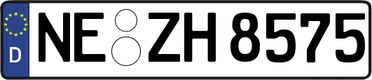 NE-ZH8575