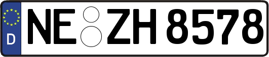 NE-ZH8578