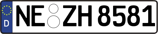 NE-ZH8581