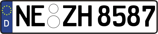 NE-ZH8587