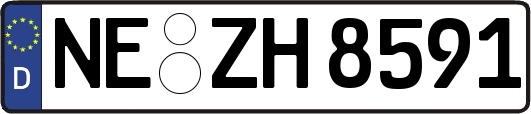 NE-ZH8591